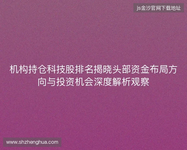 机构持仓科技股排名揭晓头部资金布局方向与投资机会深度解析观察